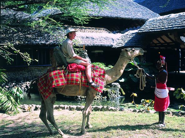 Sarova Shaba Game Lodge - Camel Ride 